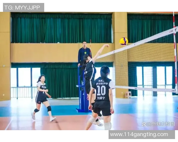 排球专题：聚焦南京排球队的心理素质