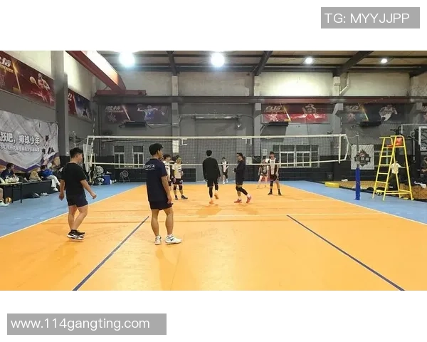 专业解读：杭州排球队的转换打法